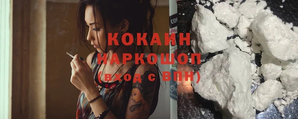 ГАЛЛЮЦИНОГЕННЫЕ ГРИБЫ Аркадак