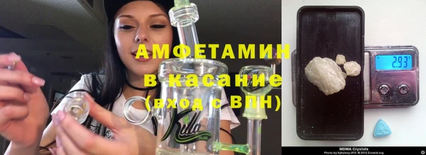 ГАЛЛЮЦИНОГЕННЫЕ ГРИБЫ Аркадак