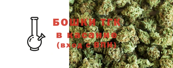 ГАЛЛЮЦИНОГЕННЫЕ ГРИБЫ Аркадак