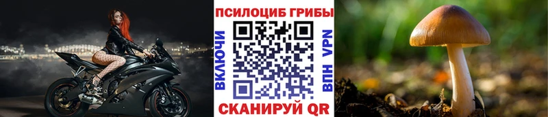 Псилоцибиновые грибы Magic Shrooms  где купить наркотик  Крым 