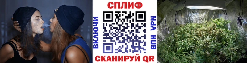 МАРИХУАНА THC 21%  закладки  Крым 